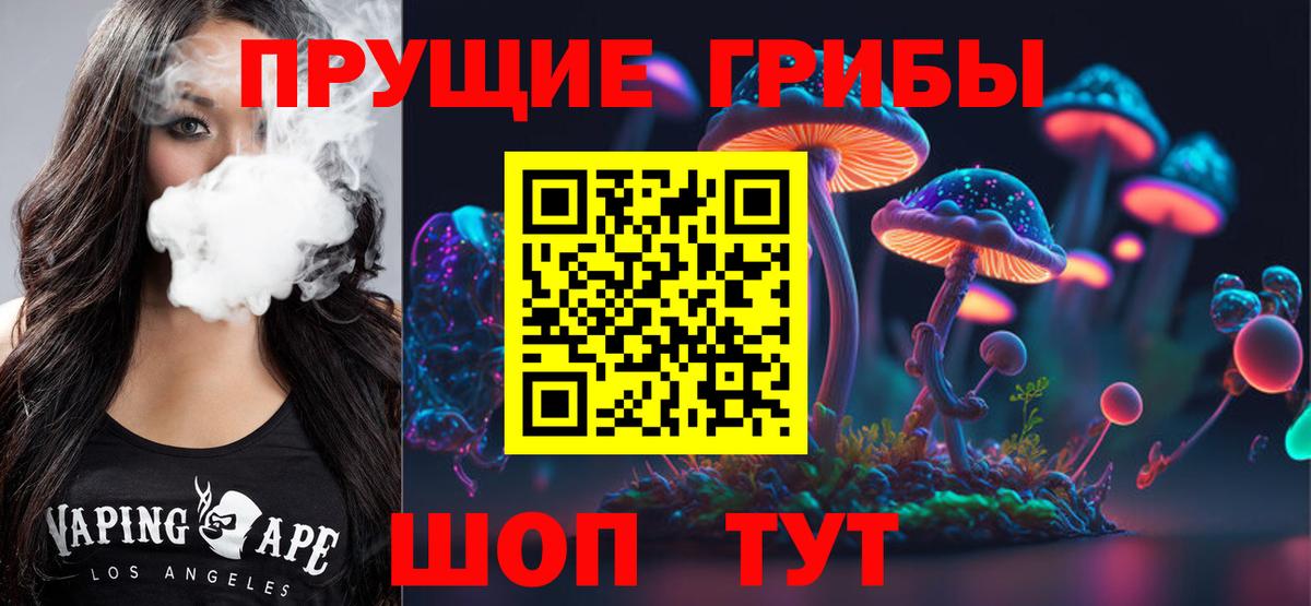 Новоалтайск  Псилоцибиновые грибы Psilocybine cubensis  цена   Вход с VPN 